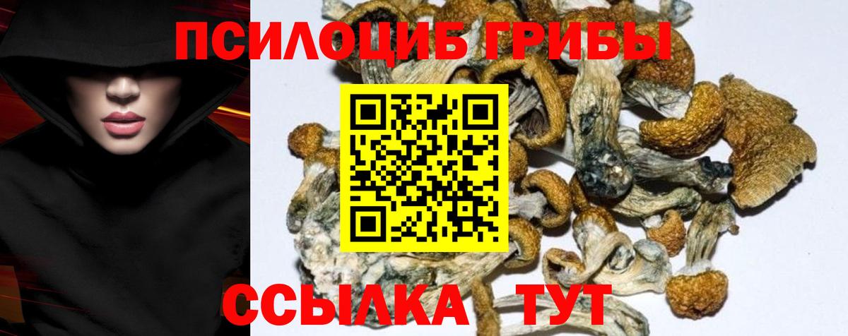Псилоцибиновые грибы мицелий  Вход с VPN  Севастополь 